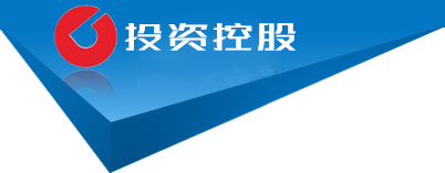 泓川证券公司